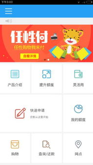 任性，是生活中的一種錯位的善意
